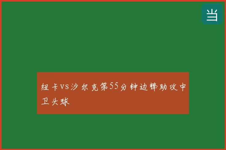 纽卡vs沙尔克第55分钟边锋助攻中卫头球